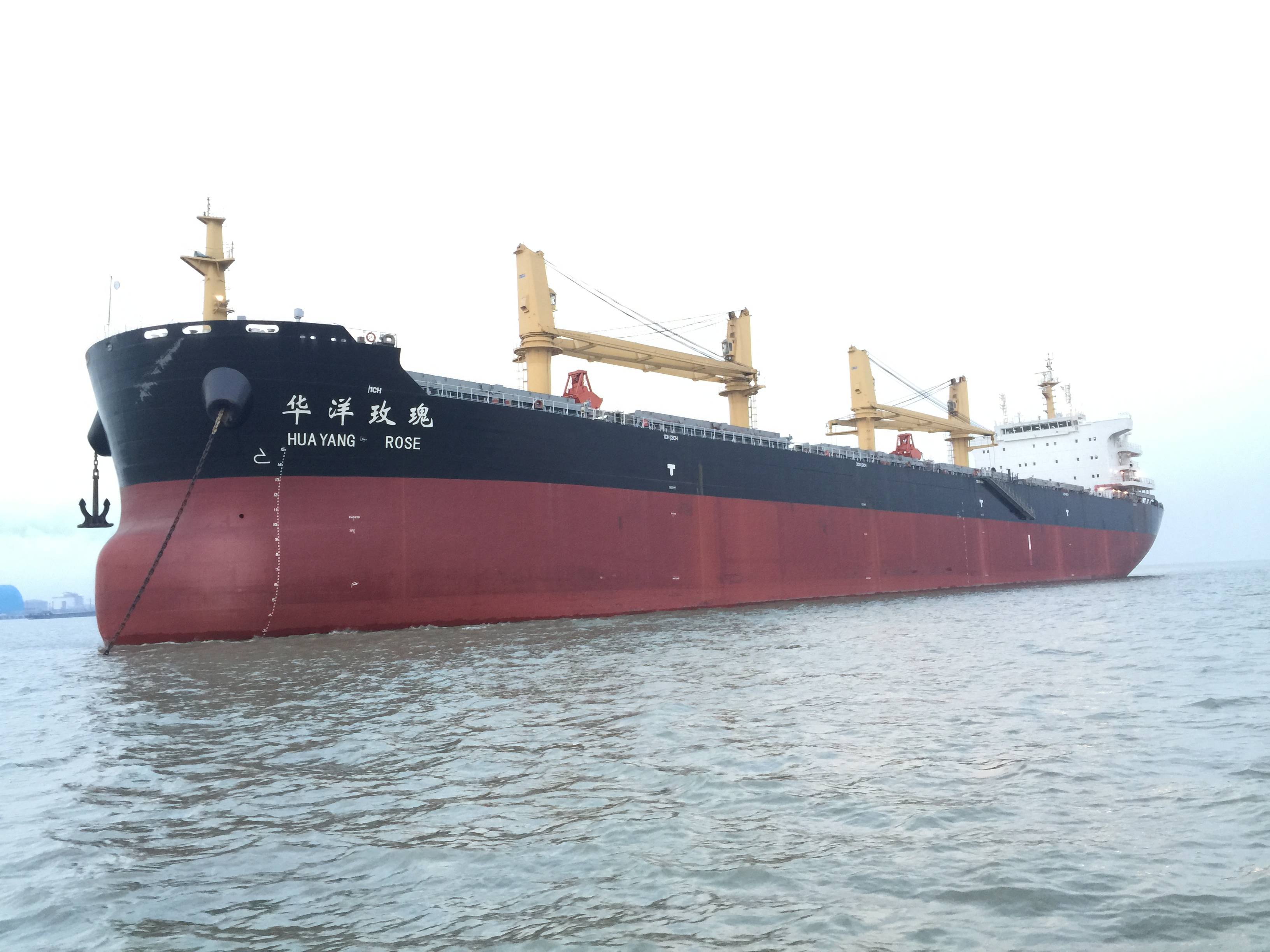 图片2-散货船“华洋玫瑰”轮.JPG